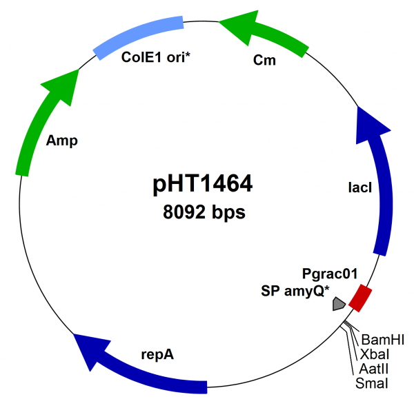 Bacillus subtilis secretion vector pHT1464 vector (Pgrac01 type) 