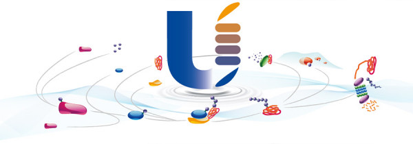 Ub-AMC (UBPBio Product Code: M3010)