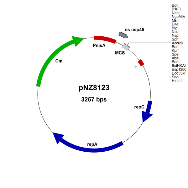 NICE® pNZ8123 Lactococcus lactis secretion vector (SP Usp45/NaeI)