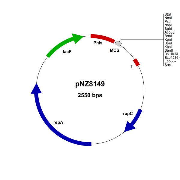 NICE® pNZ8149 Lactococcus lactis expression vector, food grade (lacF), NcoI site