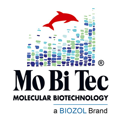 E. coli host strain MC1061