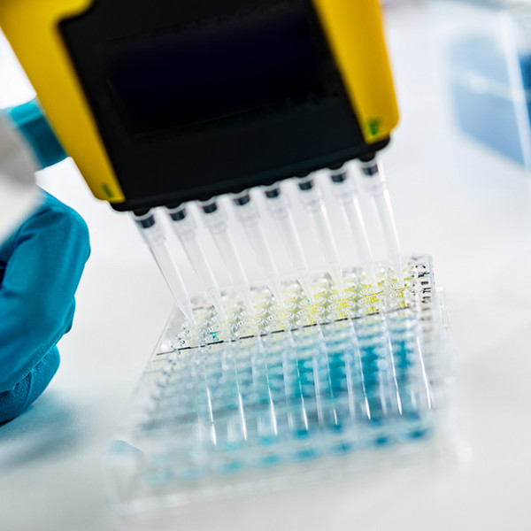 Streptavidin, R-phycoerythrin conjugated - 0.5 mg