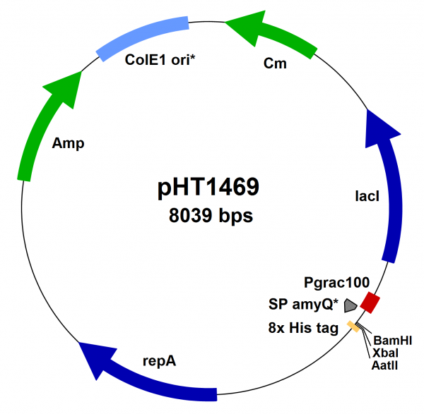 Bacillus subtilis secretion vector pHT1469 (Pgrac100 type, His-Tag)