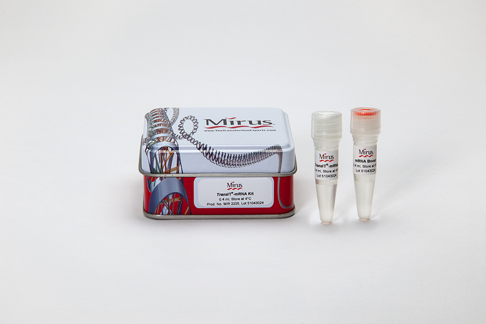 TransIT®-mRNA Transfection Kit (Mirus Bio SKU: MIR 2255)