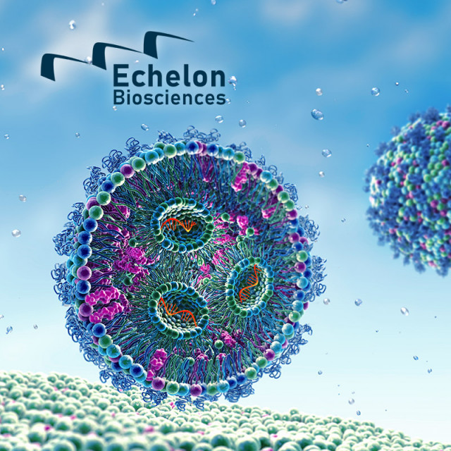 Lipid Nanoparticles for RNA Delivery