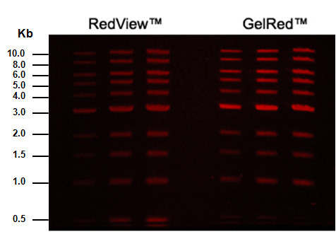 RedView DNA Gel Stain