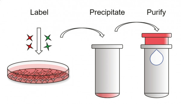 ExoTracker - RNA (Echelon Product Code: K-4300c EAKIT)