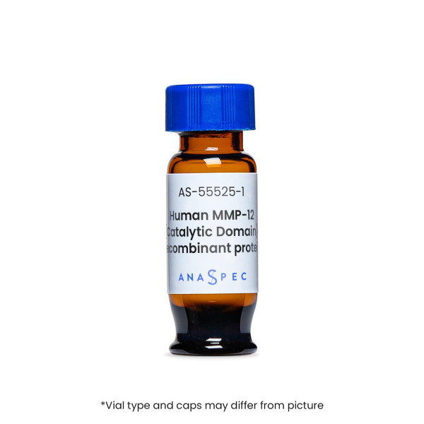MMP-12 (Catalytic Domain), human recombinant
