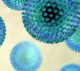AmpliSens® Influenza virus А H5N1-FRT ( non aliquoted)