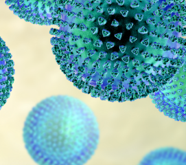 AmpliSens® Influenza virus А H5N1-FRT (non aliquoted) (Ecoli Dx Product Code: R-V33(SC)-CE)