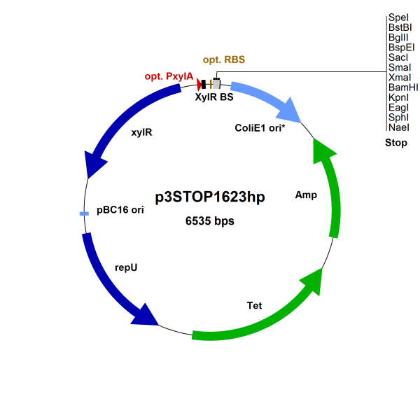 Bacillus megaterium vector p3STOP1623hp