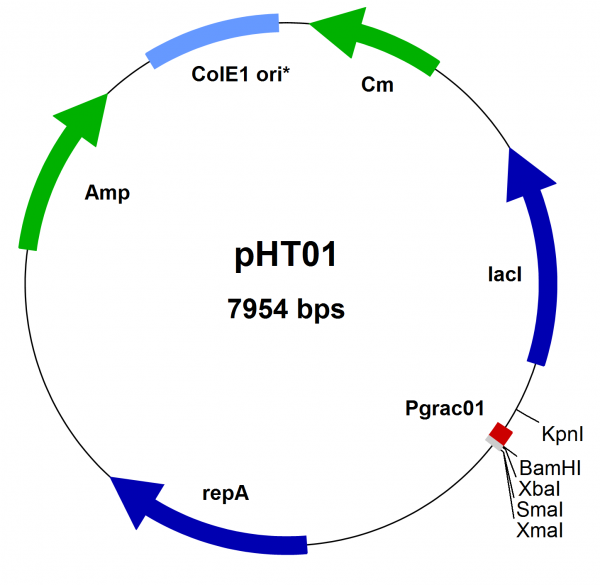 Bacillus subtilis expression vector pHT01 (Pgrac01 type )