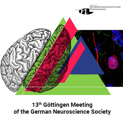 13th Göttingen Meeting of the German Neuroscience Society