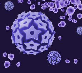 AmpliSens® Leucosis-Quant M-bcr-FRT (Ecoli Dx Product Code: TR-O1(RG,iQ,Mx,A)-CE)