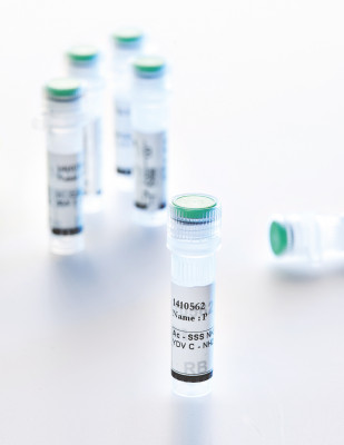 Caspase 3 (Apopain) Substrate 1f-z, fluorogenic - 5 mg Caspase 3 (Apopain) Substrate 1f-z, fluorogenic - 5 mg