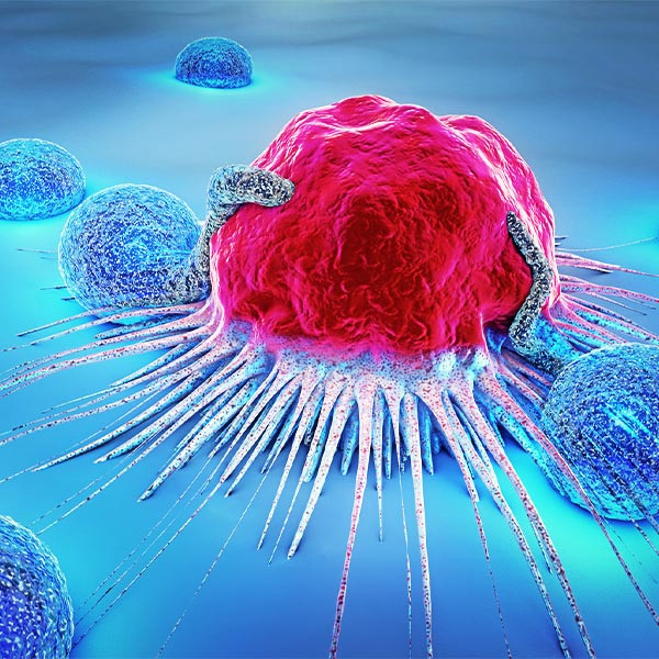 Discover New Therapeutics to Enhance Tumor Immunity