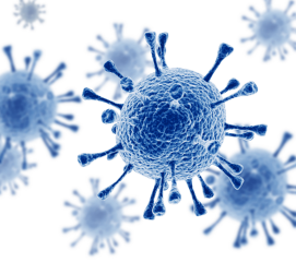 AmpliSens® Streptococcus pyogenes-screen/monitor-FRT PCR kit variant FRT-100 FN (Ecoli Dx Product Co