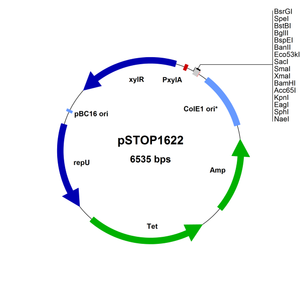 Bacillus megaterium vector, pSTOP1622