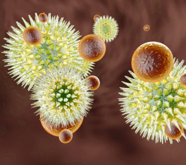 AmpliSens® Rotavirus/Norovirus/Astrovirus-FRT