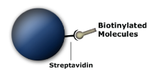 MagSi-STA 600 BI (magtivio Art. No.: MD21001)