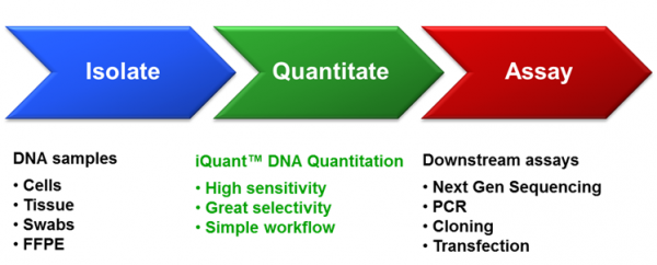 iQuant™ dsDNA BR Assay Kit