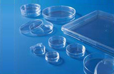 Petri Dish for Cell/Tissue Culture 60phi