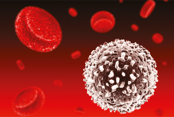 CMV - CI combi antigen ready-to-use (lyophyl.)