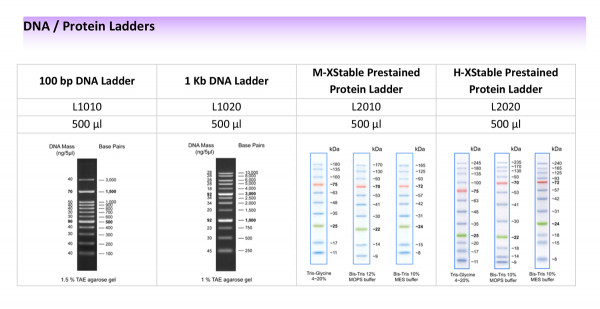 H-XStable Prestained Protein Ladder (UBPBio Product Code: L2021)