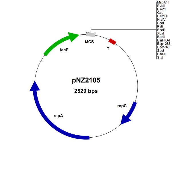 pNZ2105 Lactococcus lactis cloning vector, food grade