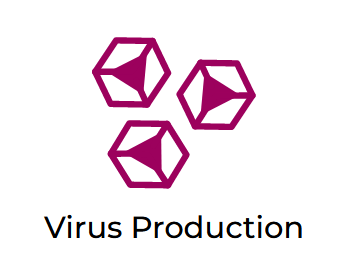 VirusGEN AAV Transfection Kit (Mirus Bio SKU: MIR 6745)
