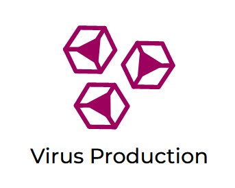 TransIT-VirusGEN Transfection Reagent (Mirus Bio SKU: MIR 6740)