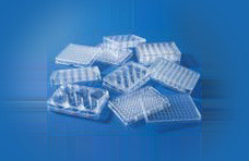 Multi Well Plate for Suspension Culture 48F with lid