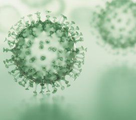 AmpliSens® DNA-HIV-FRT PCR kit (Ecoli Dx Product Code: TR-V0-G(RG,iQ)-CE)