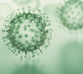 AmpliSens® Pneumocystis jirovecii (carinii)-FRT PCR kit (Ecoli Dx Product Code: R-F2-Mod(RG,iQ,Mx)-C