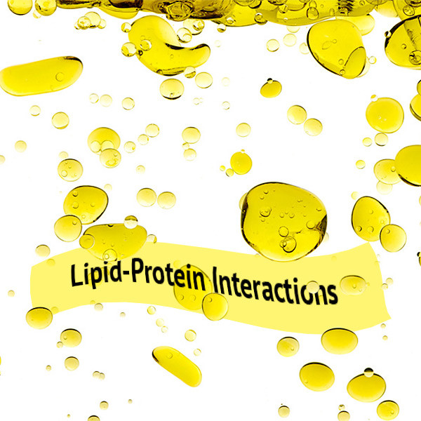 PIP Strips - Lipid-Protein Interaction Assay (Echelon Product Code: P-6001 2PK)