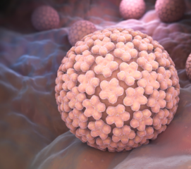 AmpliSens® HPV HCR screen-titre-FRT