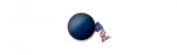 MagSi-DNA mf COOH (magtivio Art. No.: MD0200040002)