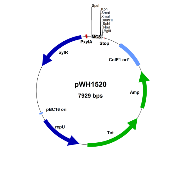 Bacillus megaterium vector pWH1520