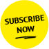 subscribe newsletter