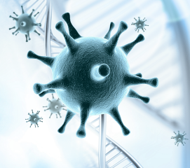 AmpliSens® Rubella virus-FRT PCR kit (Ecoli Dx Product Code: R-V24-S(RG,iQ,Mx)-CE)