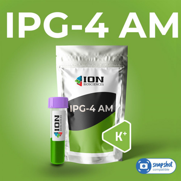 IPG-4 AM - yellow-green fluorescent potassium indicator