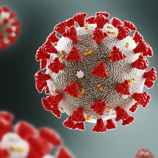 Live-Cell Assays for COVID-19 Drug Screening