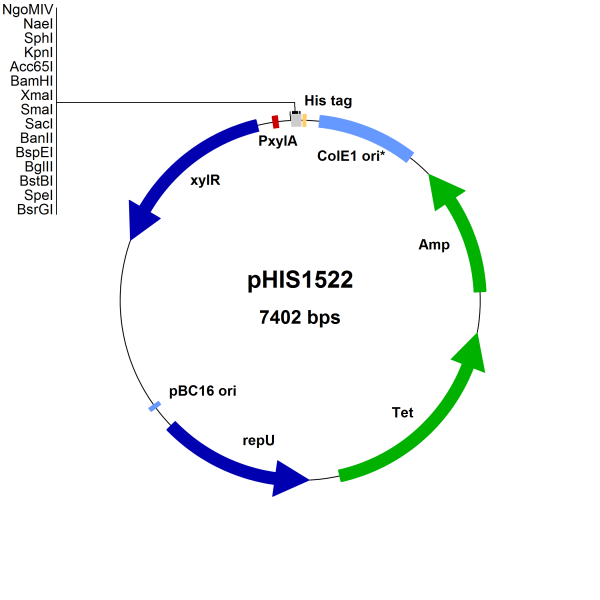 Bacillus megaterium vector, pHIS1522