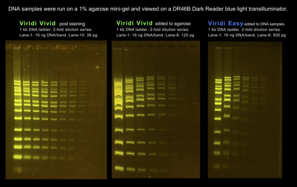 Virid Easy Loading Buffer DNA Stain