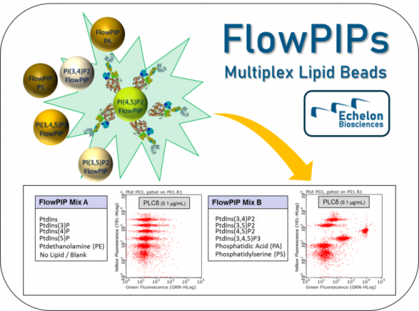 Flow PIPs: Multiplex Lipid Beads (Echelon Product Code: P-FB01 10ug)