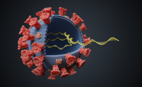 MagSi-DX Pathogen (magtivio Art. No.: MDDX00010096)