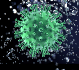AmpliSens® HSV-typing-FRT
