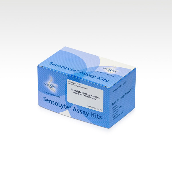 SensoLyte® 520 Cathepsin L Assay Kit Fluorimetric - 1 kit