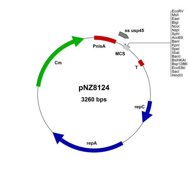 NICE® pNZ8124 Lactococcus lactis secretion vector (SP Usp45/EcoRV)