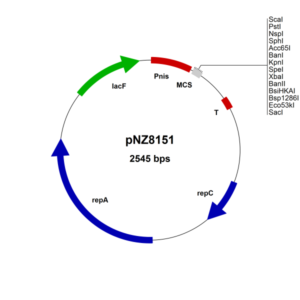 NICE® pNZ8151 Lactococcus lactis expression vector, food grade (lacF), Scal site